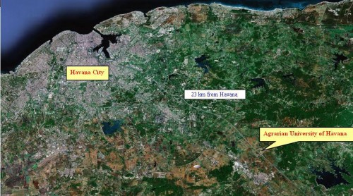 university location